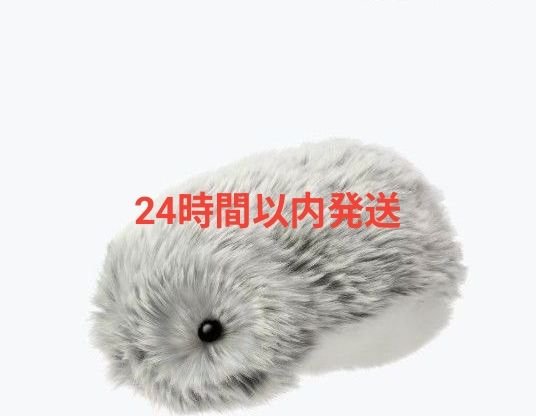 CASIO モフリン シルバー PE-M10SR｜Yahoo!フリマ（旧PayPayフリマ）