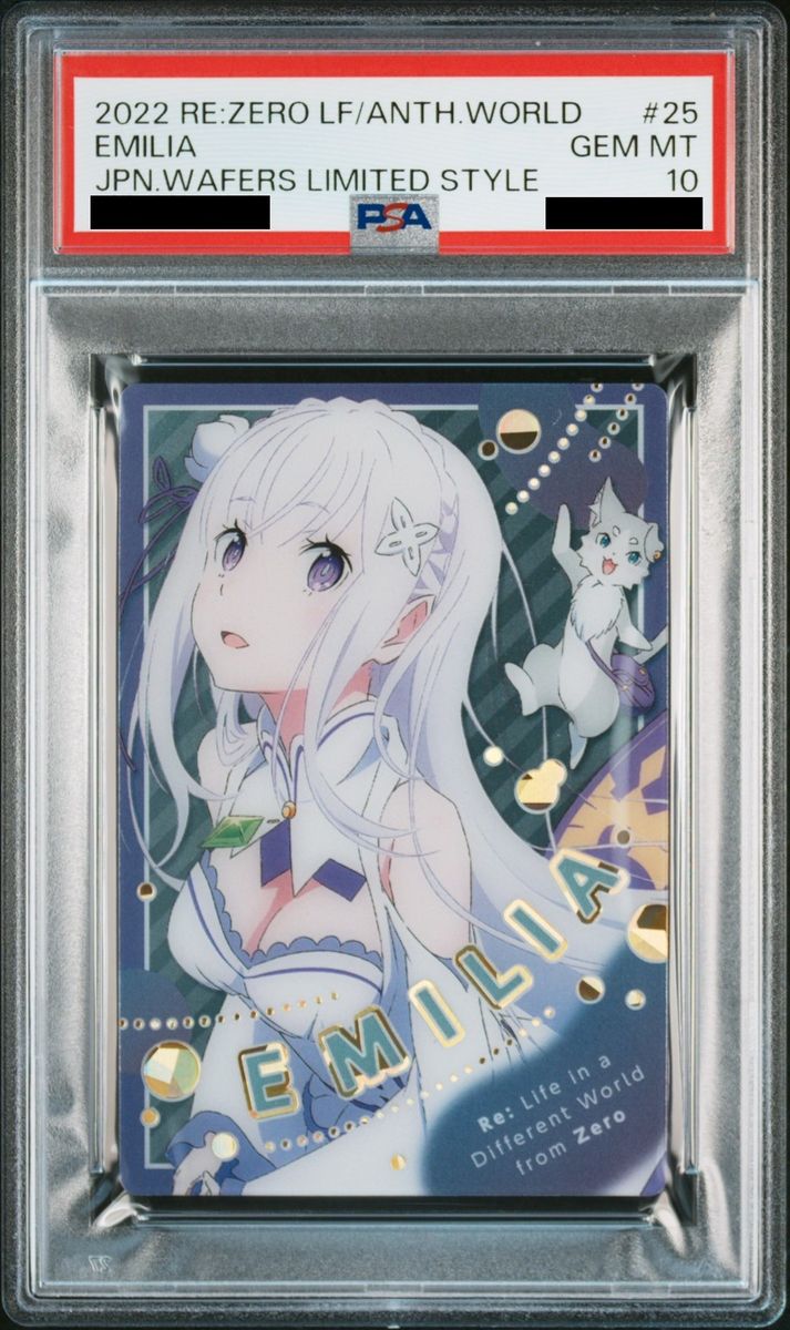 ヴァイスシュヴァルツ 原作オーバーロード 未開封シュリンク付き2BOX