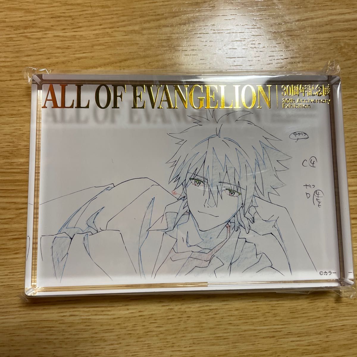 エヴァンゲリオン展 渚カヲル 箔押しアクリルブロック 30周年記念展