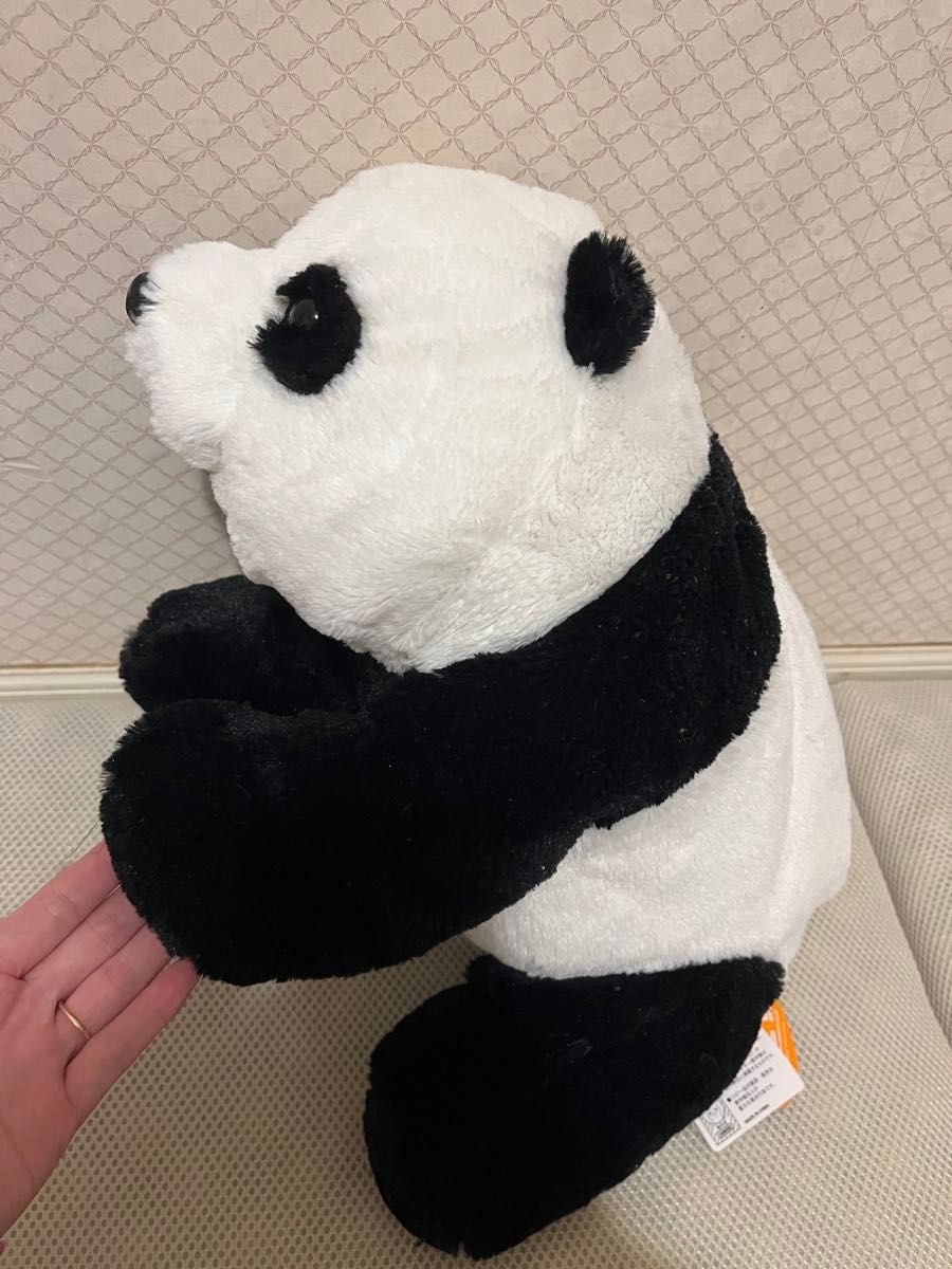 パンダドラゴン パラゴンちゃん ぬいぐるみ ぱっち ぬいぐるみチェーン