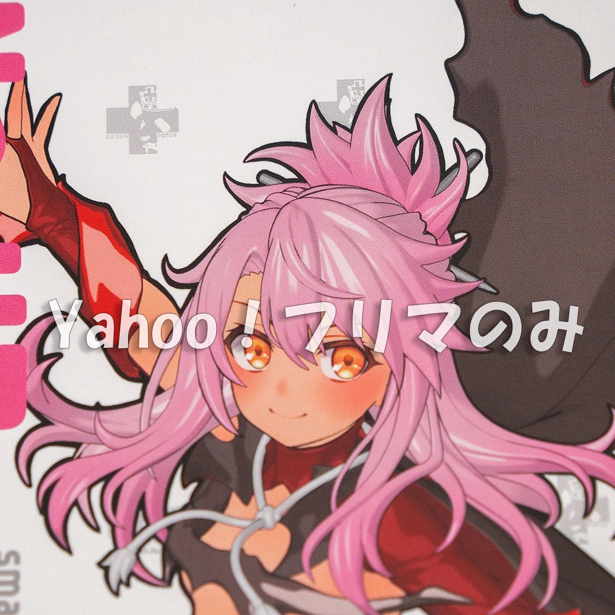 ガレージキット WF2026W 変身クロエちゃん グリズリーパンダ｜Yahoo