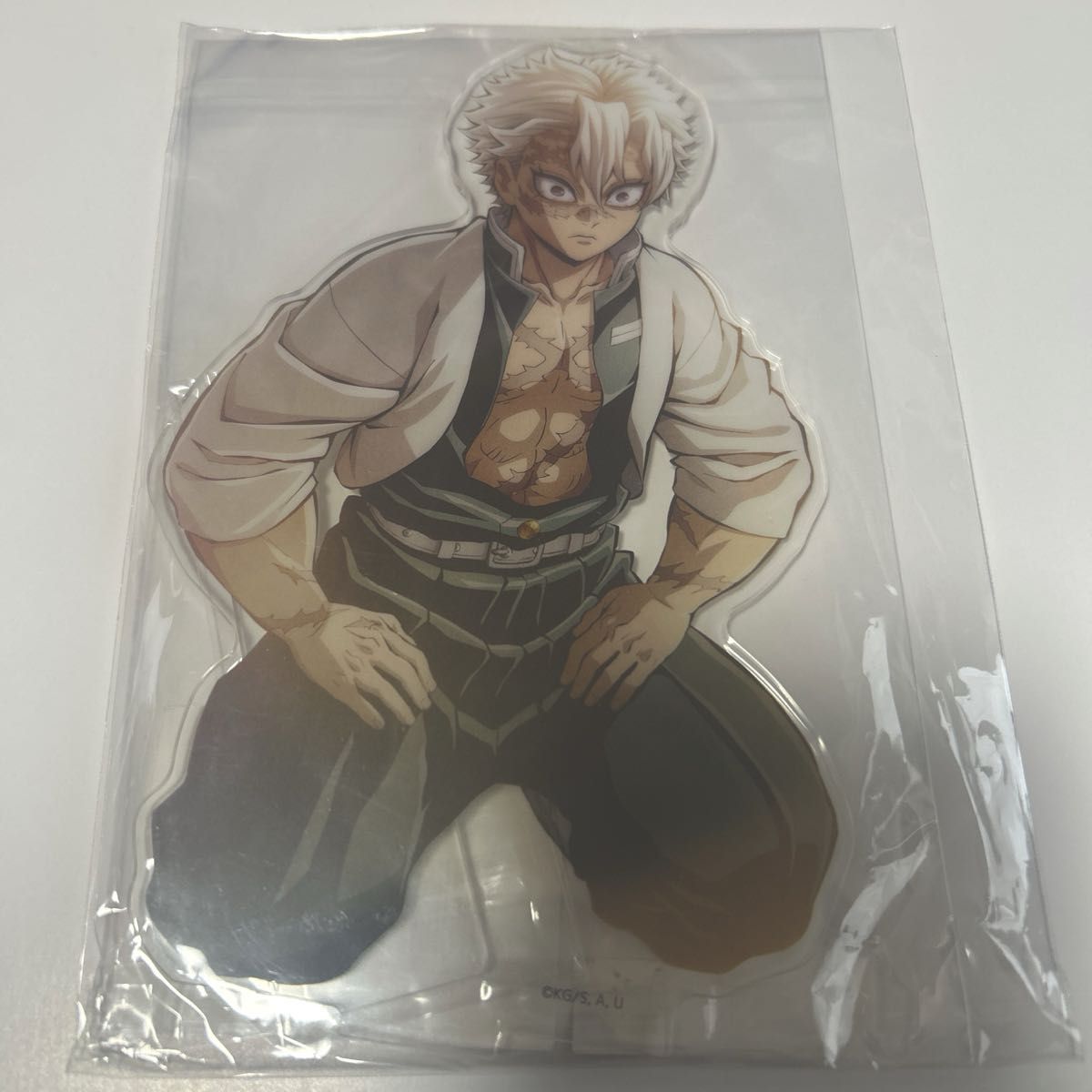 鬼滅の刃 柱展 キービジュアル プレミアム ポスター 不死川実弥｜Yahoo