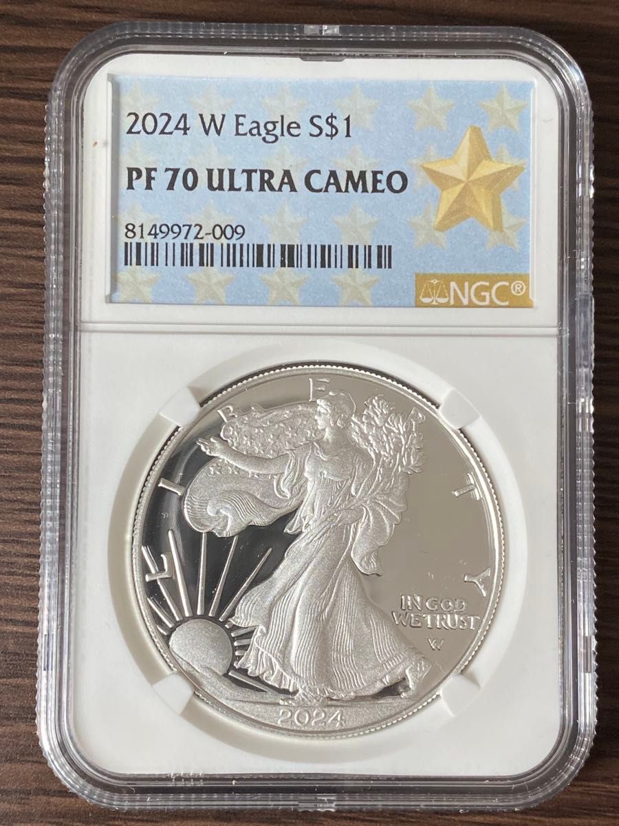 2024-P アメリカ イーグル銀貨 Star Privy 限定品｜Yahoo!フリマ（旧