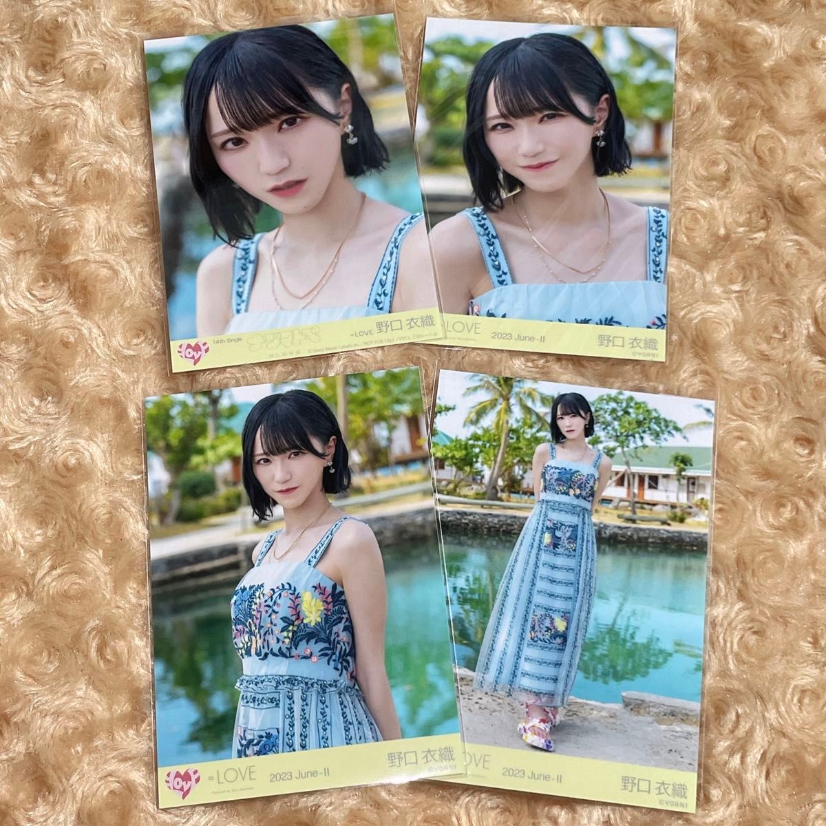 LOVE イコラブ 生写真 コンプリート 野口衣織 サンタ クリスマス2024