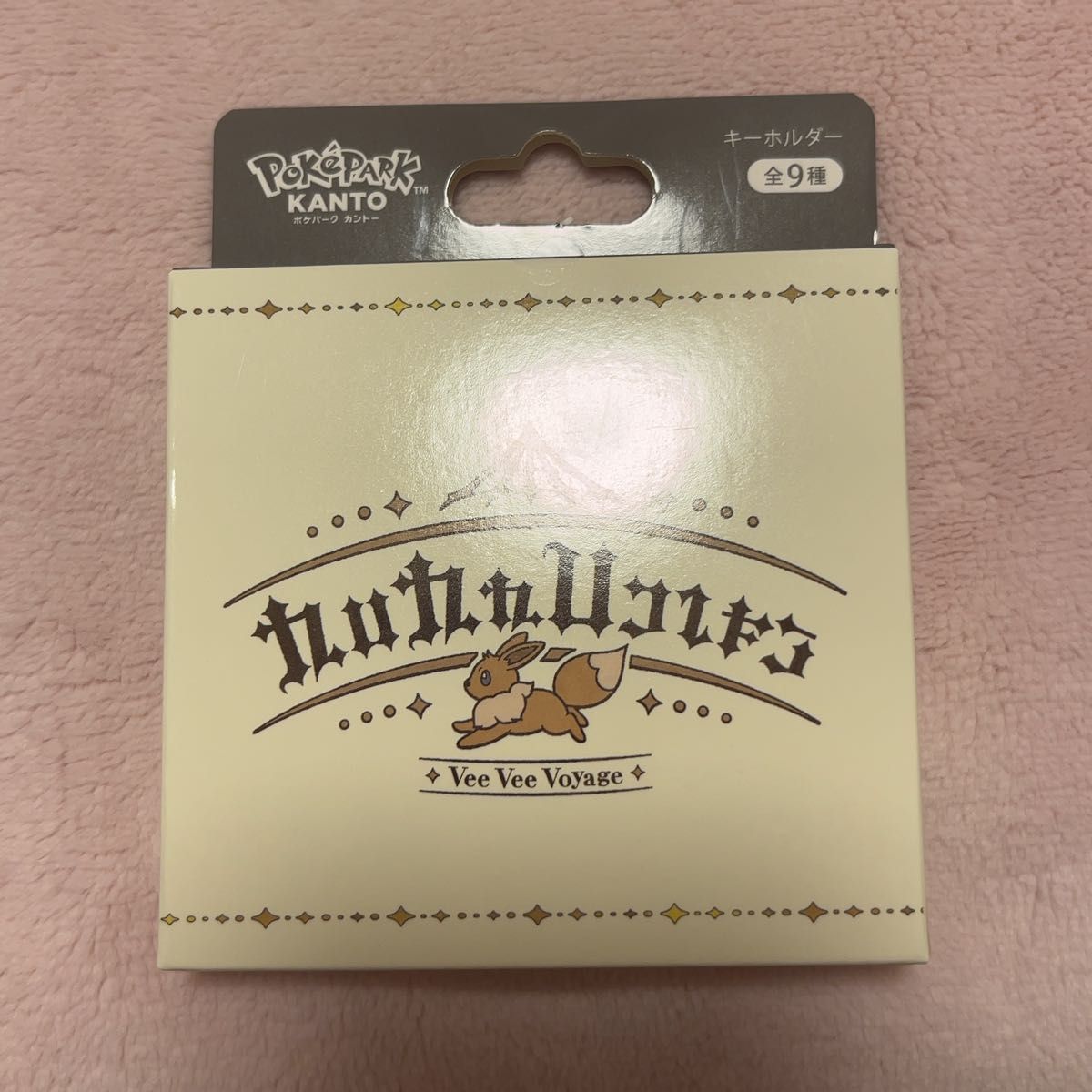 ポケパーク カントー 限定 ブイブイヴォヤージュ イーブイズ アクリル