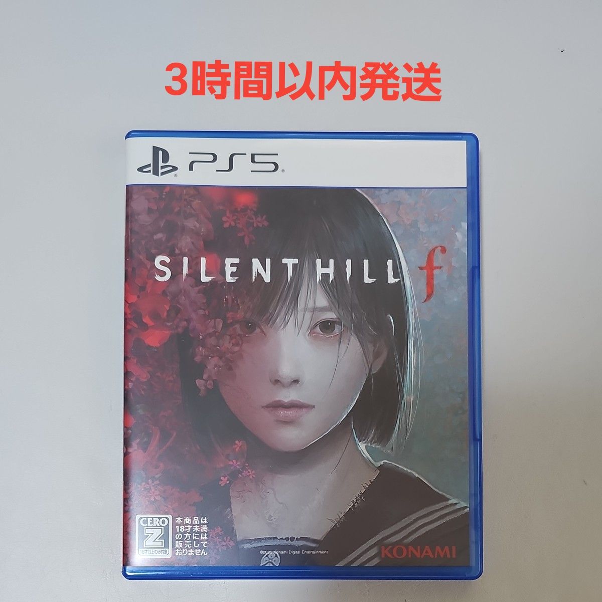 SILENT HILL f サイレントヒルf WonderGOO 特典 キャンバスアート