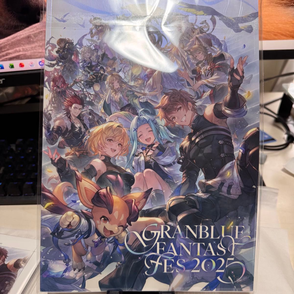 グラブルフェス2025 パンフレット シリアル未使用 未開封品 グラン