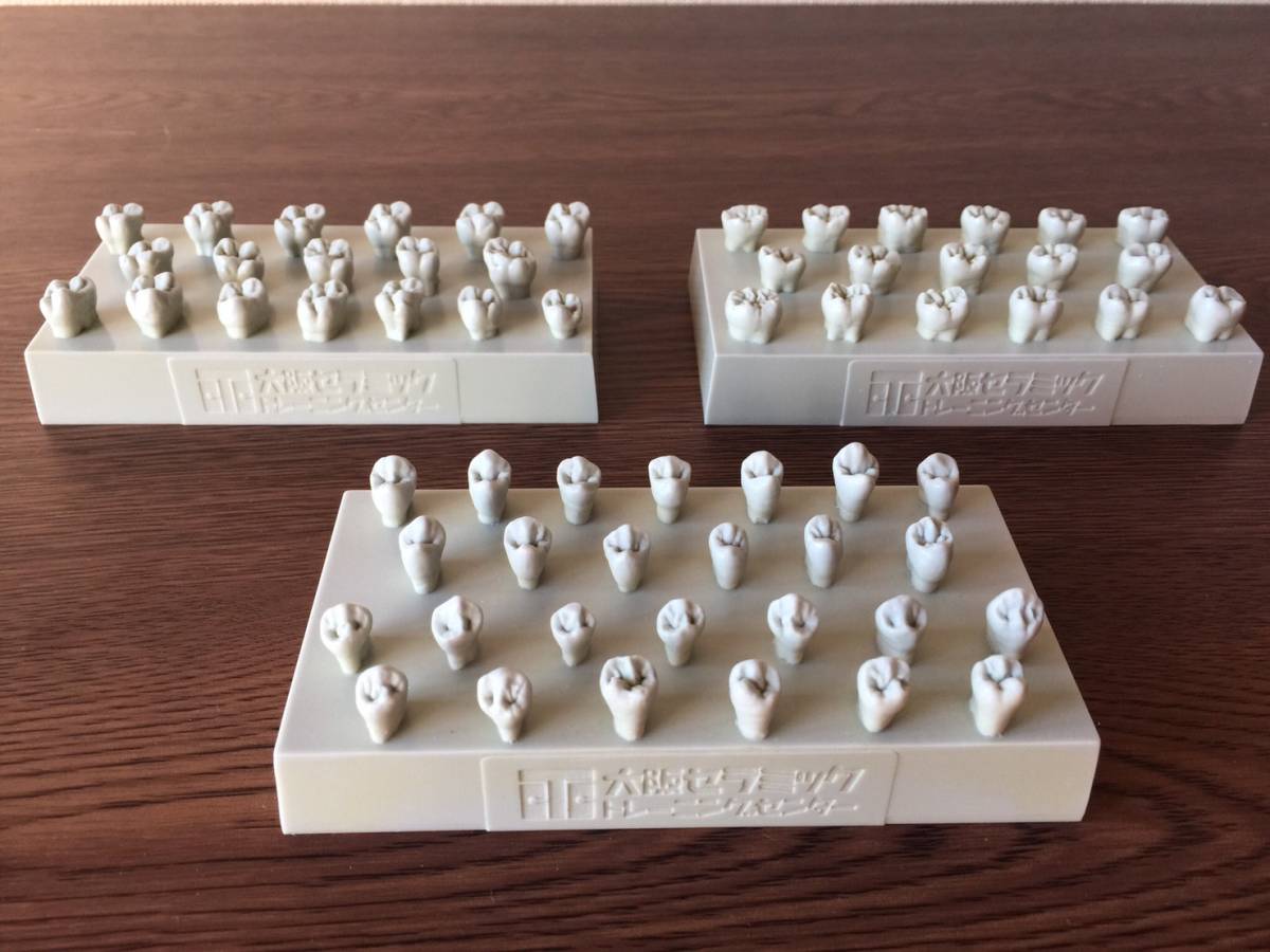 ☆歯科 歯科技工☆ 大阪セラミックトレーニングセンター サンプル模型
