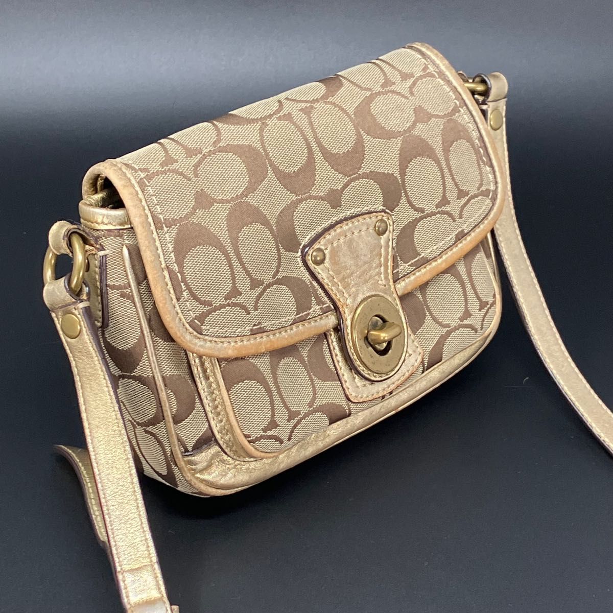 COACH コーチ シグネチャー クリケット ショルダー ターンロック 斜