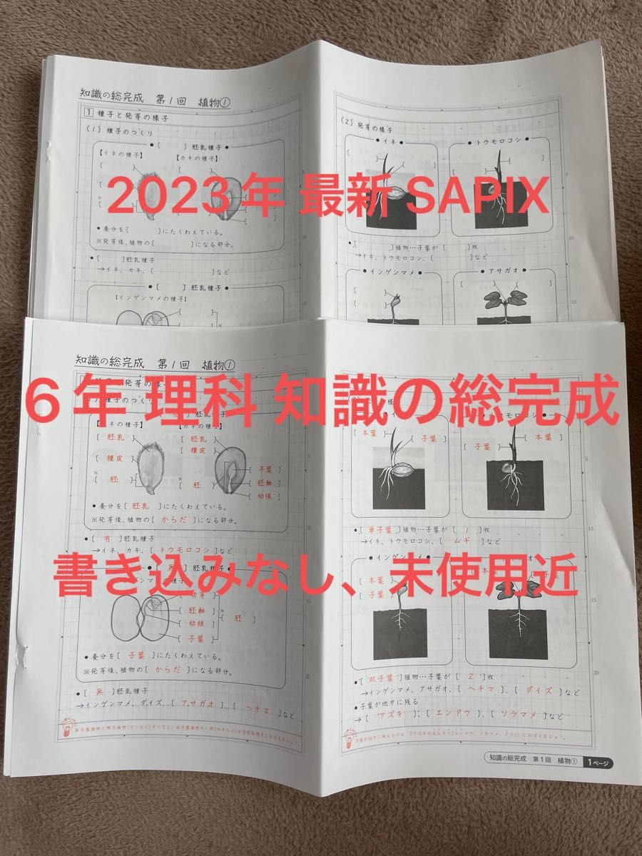 SAPIX サピックス 2023 6年 土特 理科 知識の総完成｜Yahoo!フリマ（旧