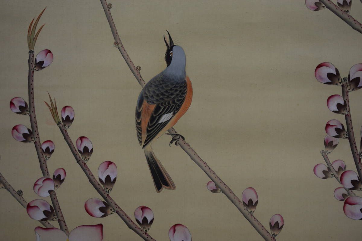 不詳/作者不詳/竹林群雀図/布袋屋掛軸HF-663 不詳/作者不詳/竹林群雀図