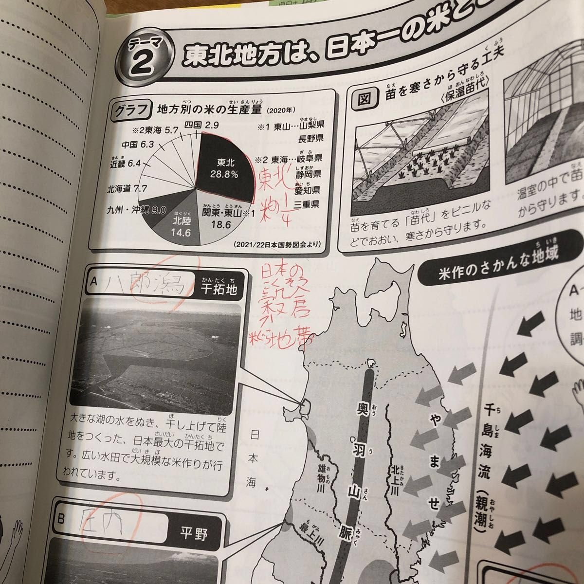 サピックス 小4 理科・社会 テキスト原本 1年分｜Yahoo!フリマ（旧