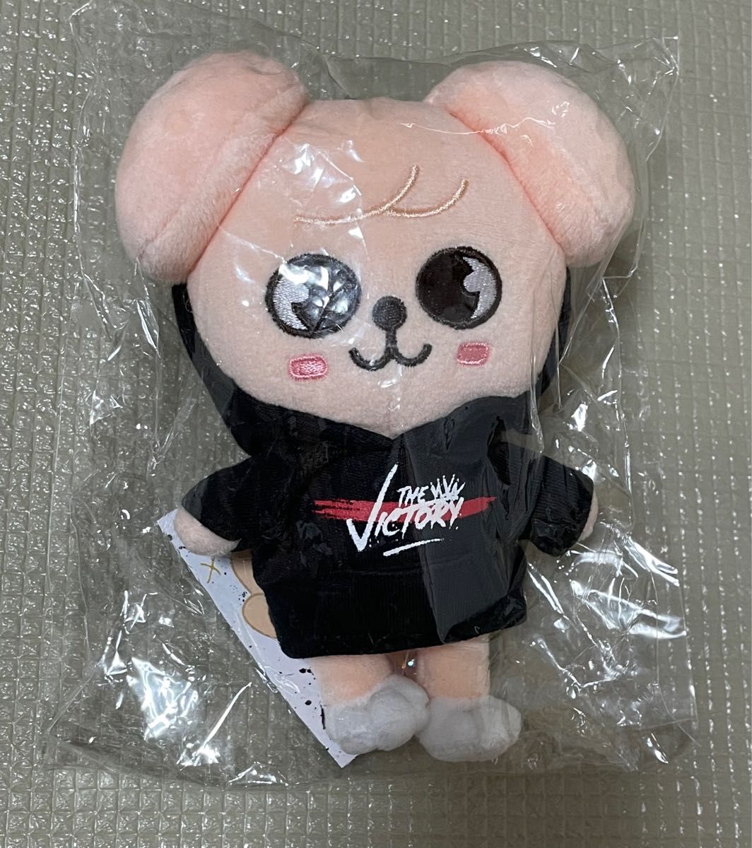 STRAY KIDS スキズ SKZOO スンミン パピーム PuppyM ミニ ぬいぐるみ