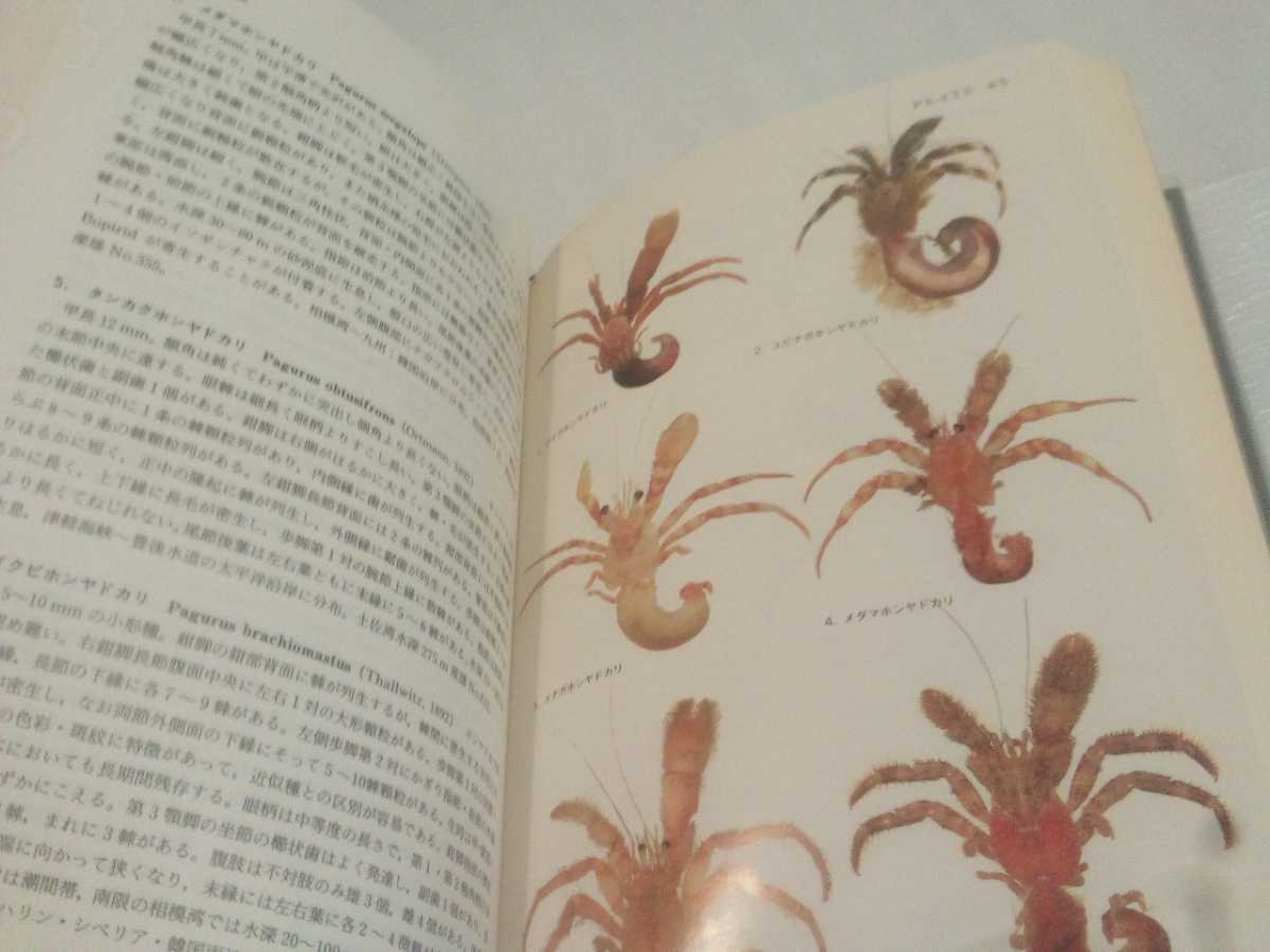 原色日本大型甲殻類II