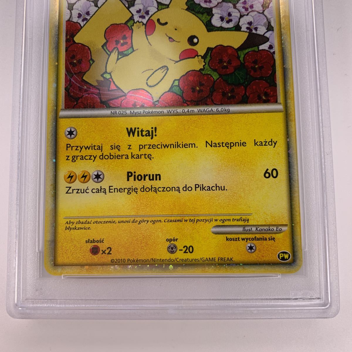 PSA 10 ピカチュウ ポーランド プロモ キラ 鑑定 ポケモンカードゲーム