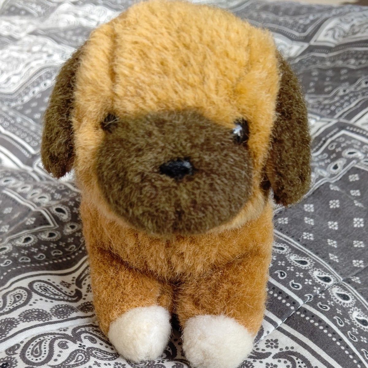 ファースト社 いたずら天使 犬のぬいぐるみ｜Yahoo!フリマ（旧PayPay