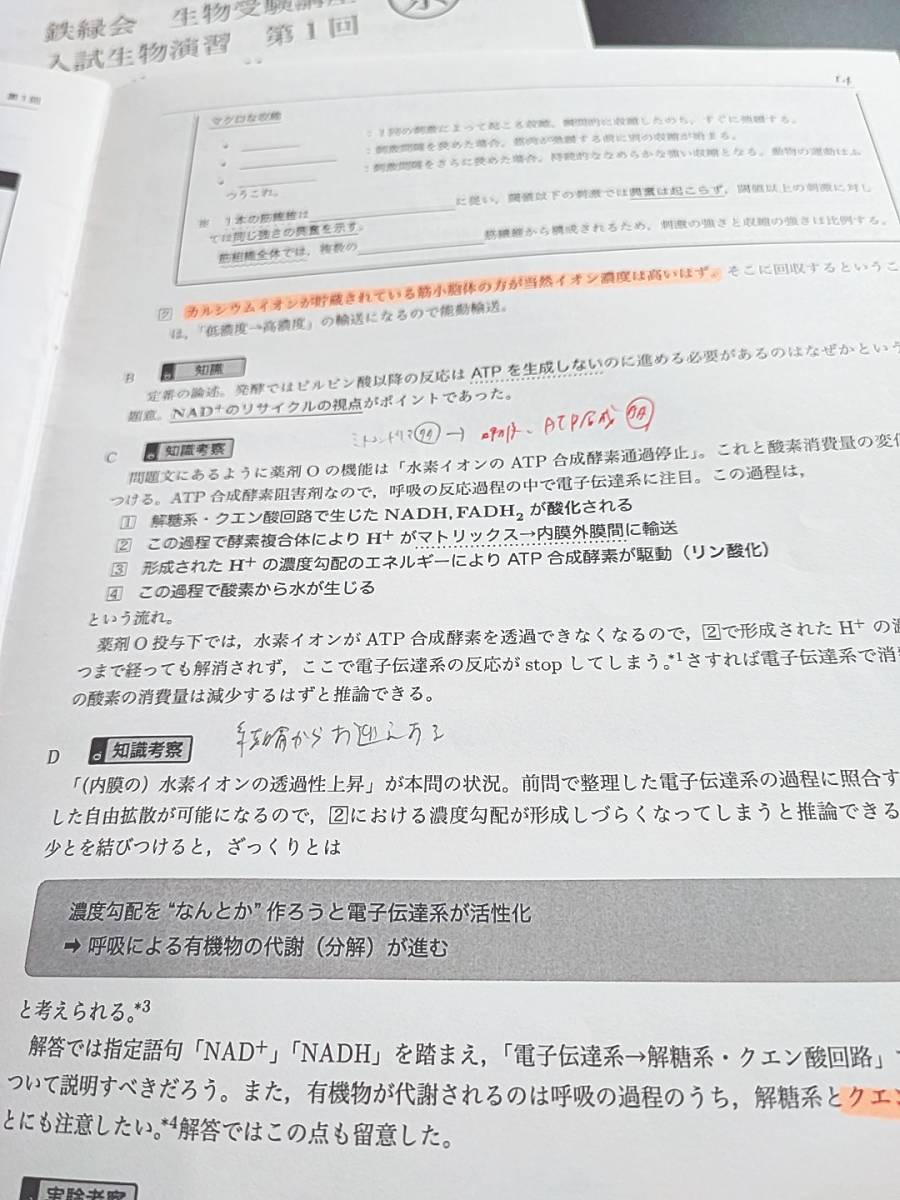 鉄緑会 19年度 入試生物演習フルセット 生物受験講座 柳沼先生 李先生