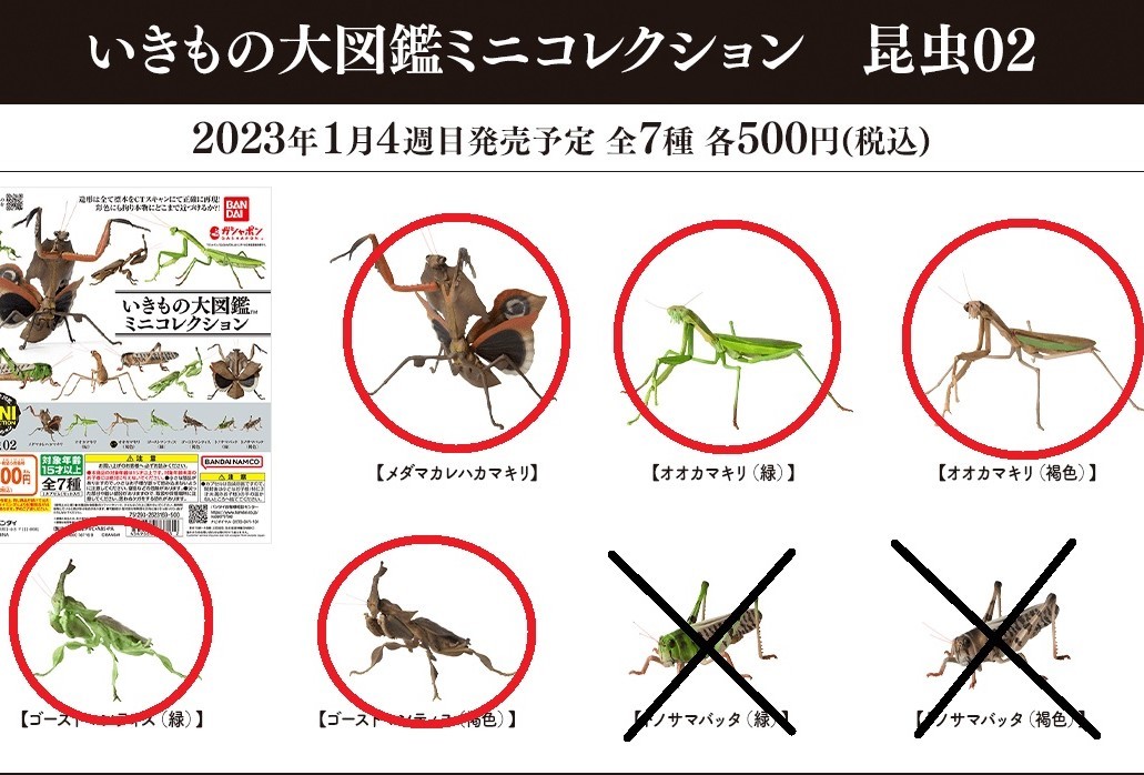 Yahoo!オークション - レア含む カマキリ5種セット 送料無料 即決 いき