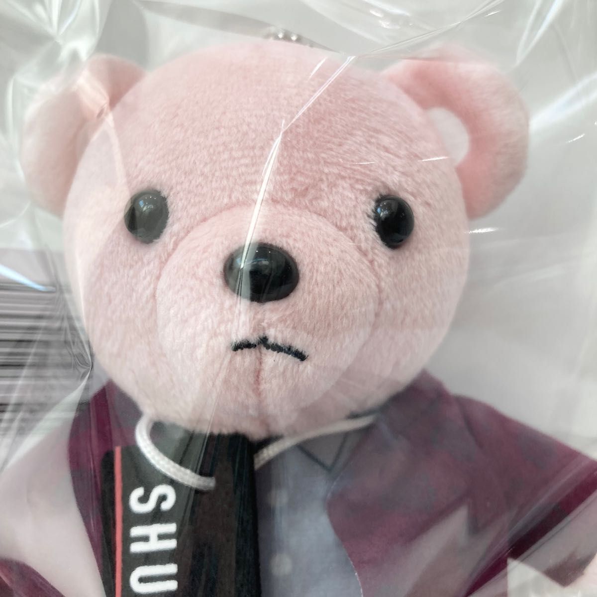 新品 BE FIRST シュント SHUNTO モアプラス ぬいぐるみ Gifted ピンク