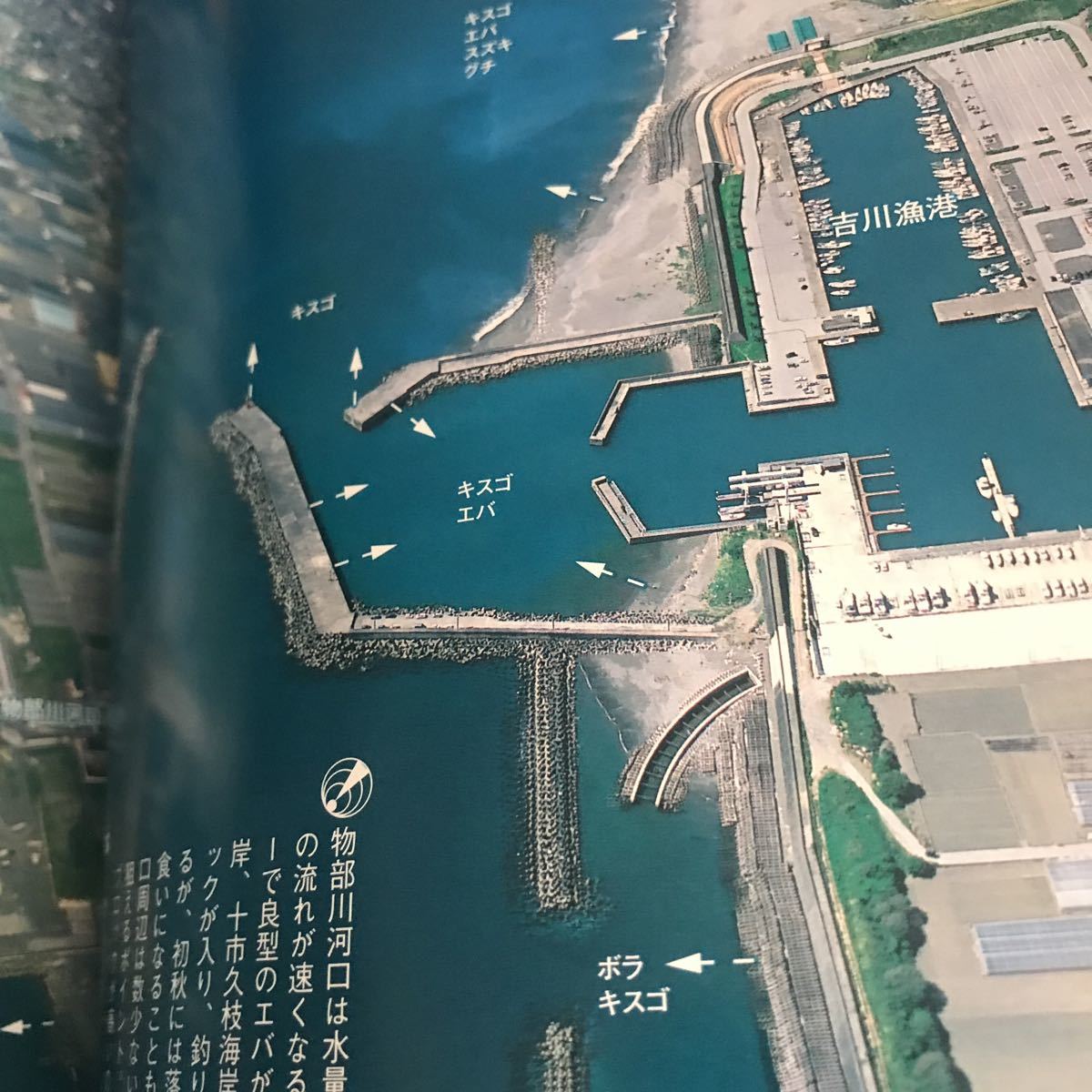 高知の海釣りのすべて 高知・南予の海釣り空撮230ポイント 改訂新版