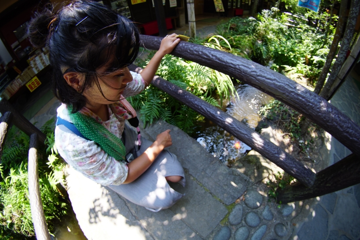 魚眼レンズ SONYミラーレスカメラ対応！αやNEXシリーズに！異世界