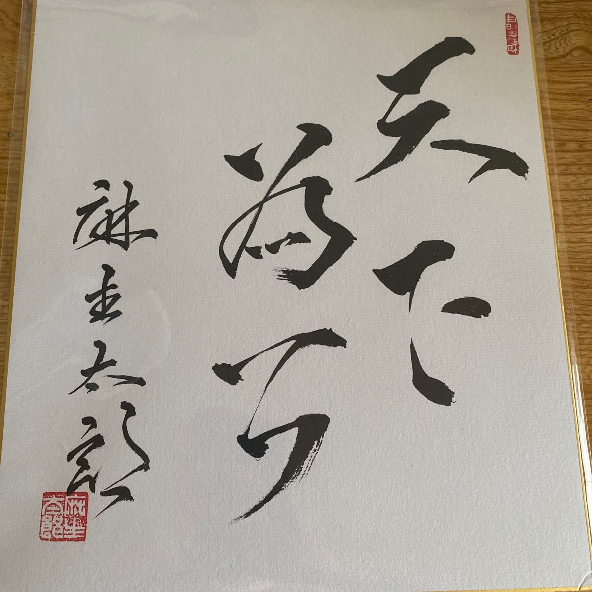 麻生太郎 直筆サイン色紙 内閣総理大臣 副総理 財務大臣 内閣府特命