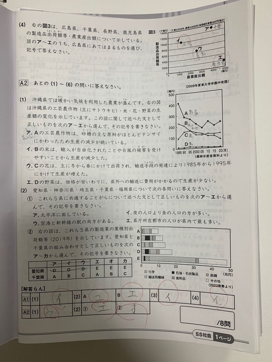サピックス SAPIX 小学6 社会 SS特訓 サンデーサピックス 志望校別