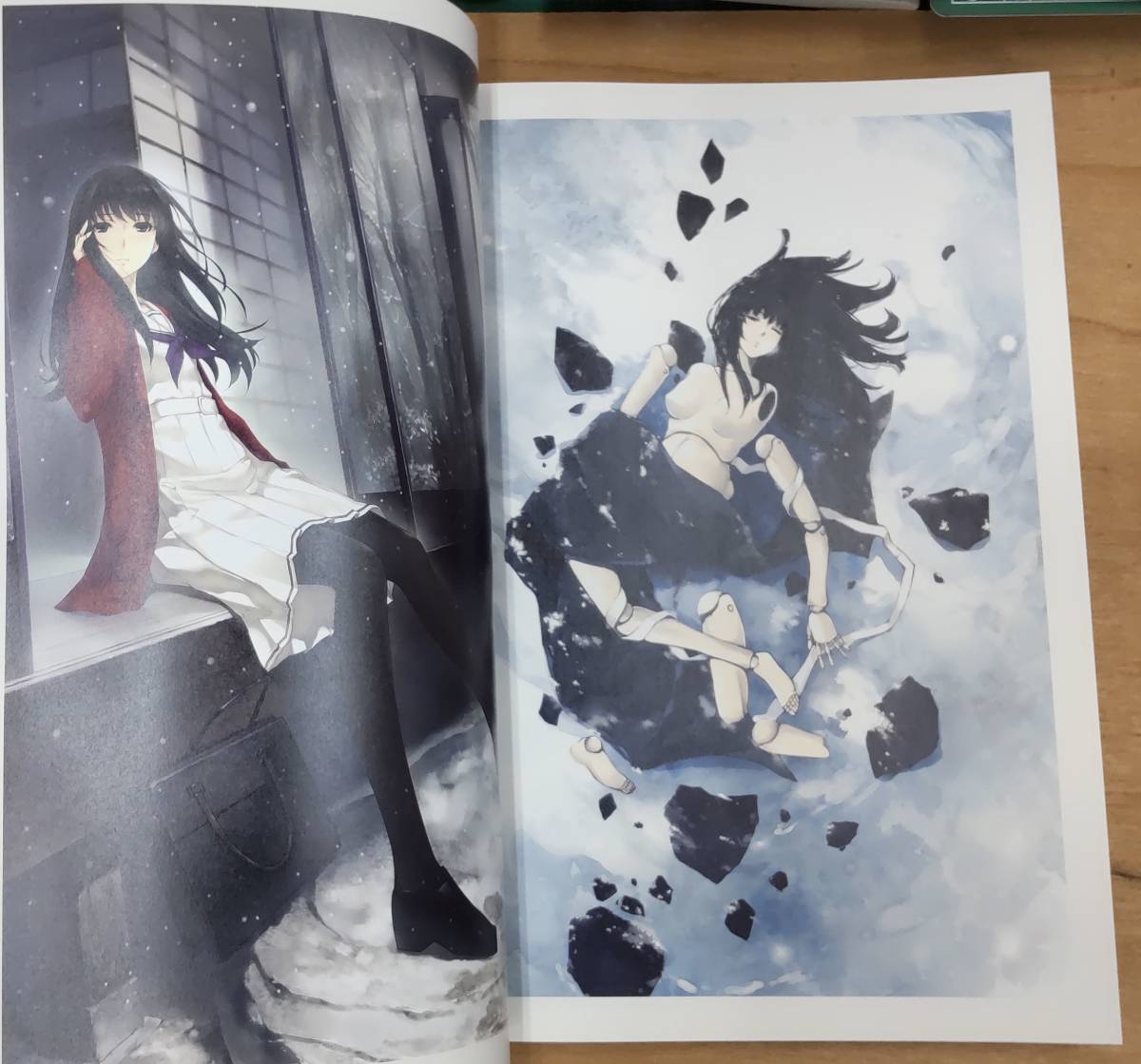 杉菜水姫 スギナミキ 画集 『花葬』作品第2集/初版/Innocent Grey