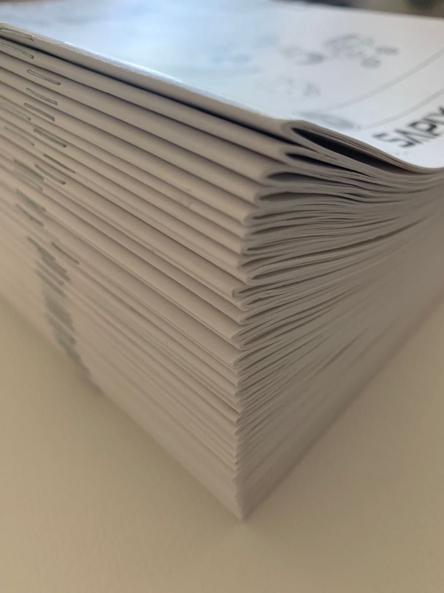 sapix サピックス 小学6年 算数 daily sapix デイリーサピックス