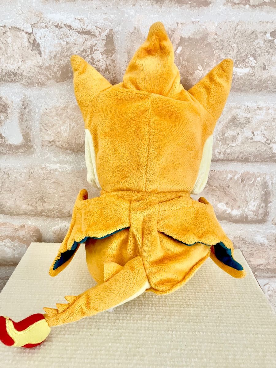 ポケモンセンターオリジナル メガリザードンのポンチョを着た