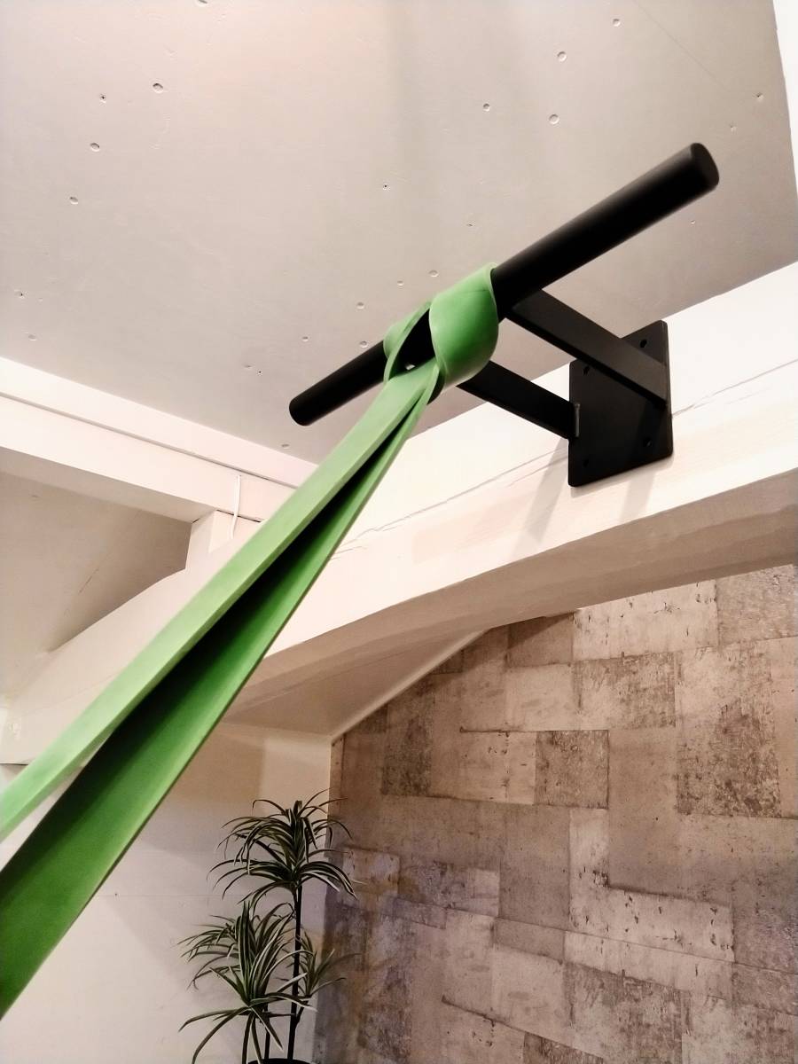 タイプA 懸垂バー アイアン製 雲梯 うんてい 室内 男前 インテリア