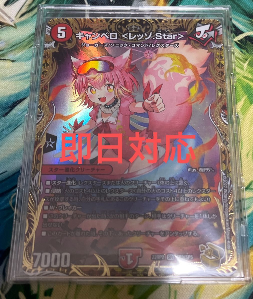 キャンベロレッゾスター 金トレジャー｜Yahoo!フリマ（旧PayPayフリマ）