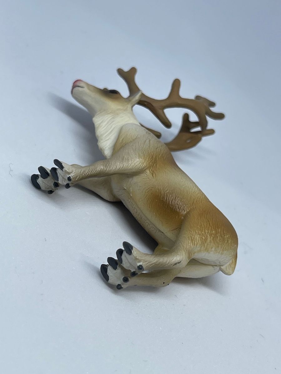 アニア トナカイ 赤鼻 クリスマス 店頭特典｜Yahoo!フリマ（旧PayPay