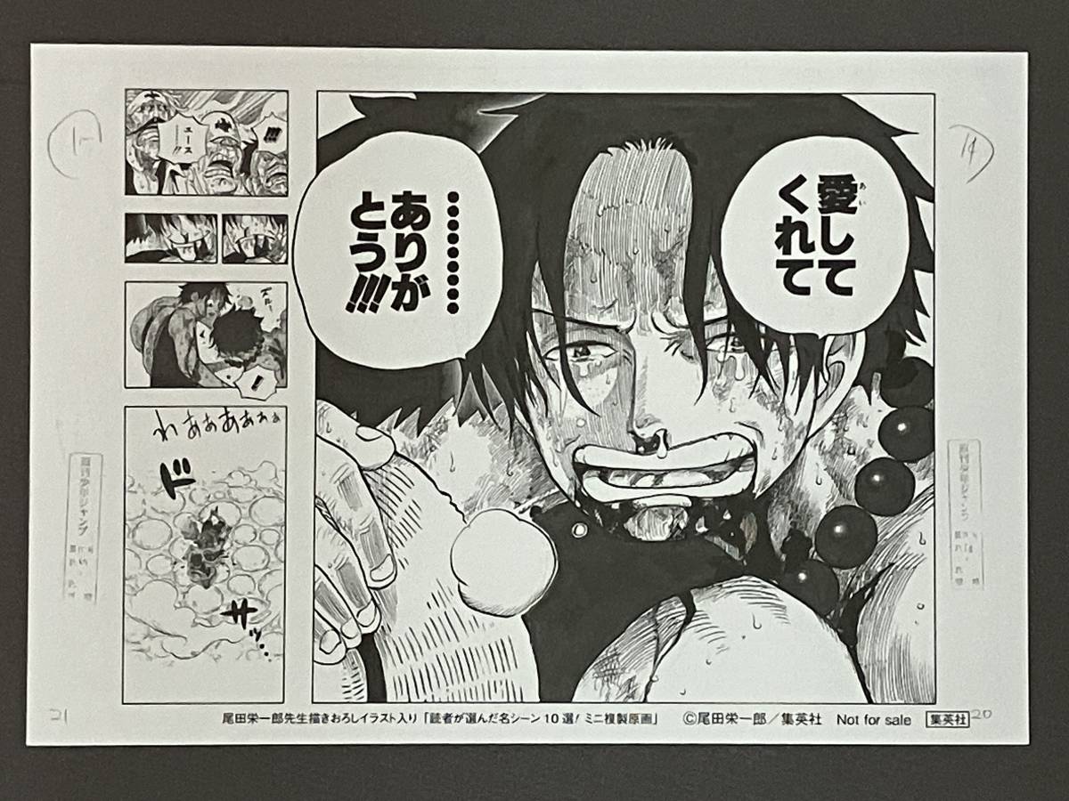 未使用 ワンピース ミニ複製原画 名シーン 9枚セット 尾田栄一郎先生