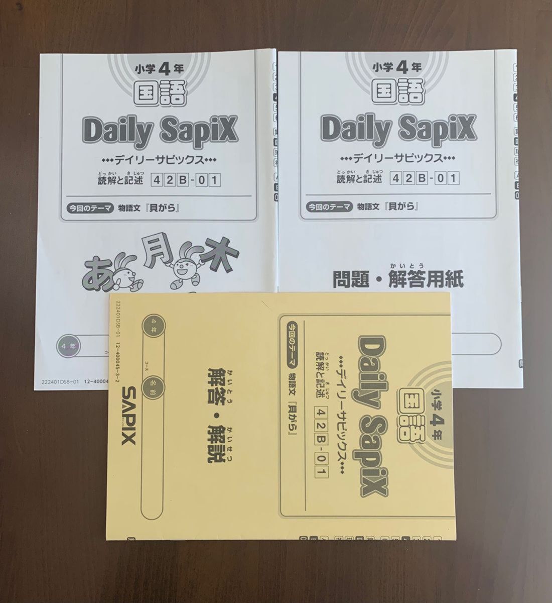 サピックス SAPIX 4年 国語 テキスト1年分 2022年度版 サピックス
