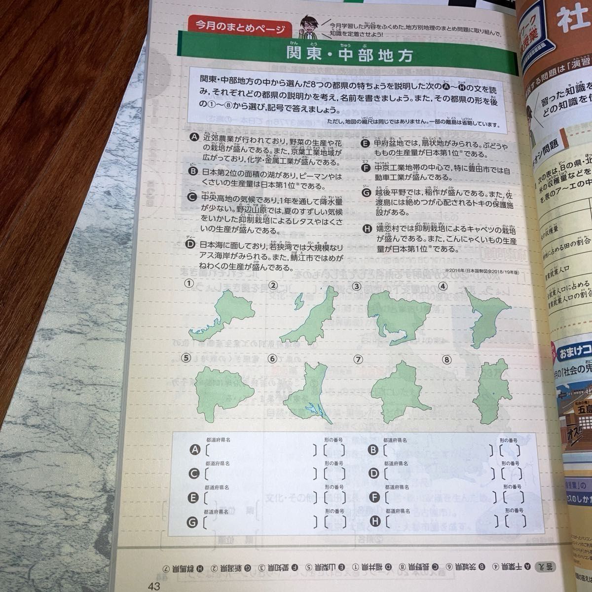 専用）進研ゼミ 中学受験講座 中学入試 演習ワーク 答えのセット 5年生