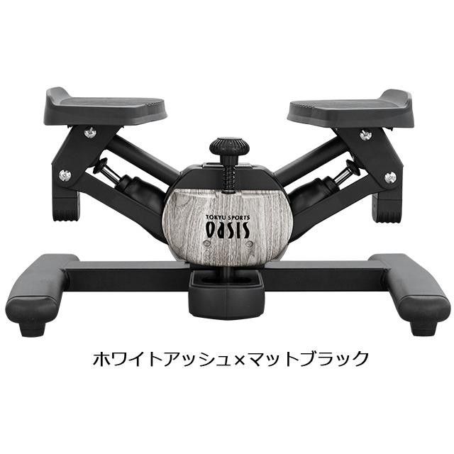 東急スポーツオアシス ツイストエアロステッパー Premium SP-600