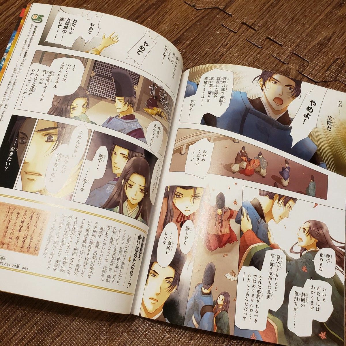 朝日ジュニアシリーズ 週刊マンガ日本史 全50冊 専用ファイル カード