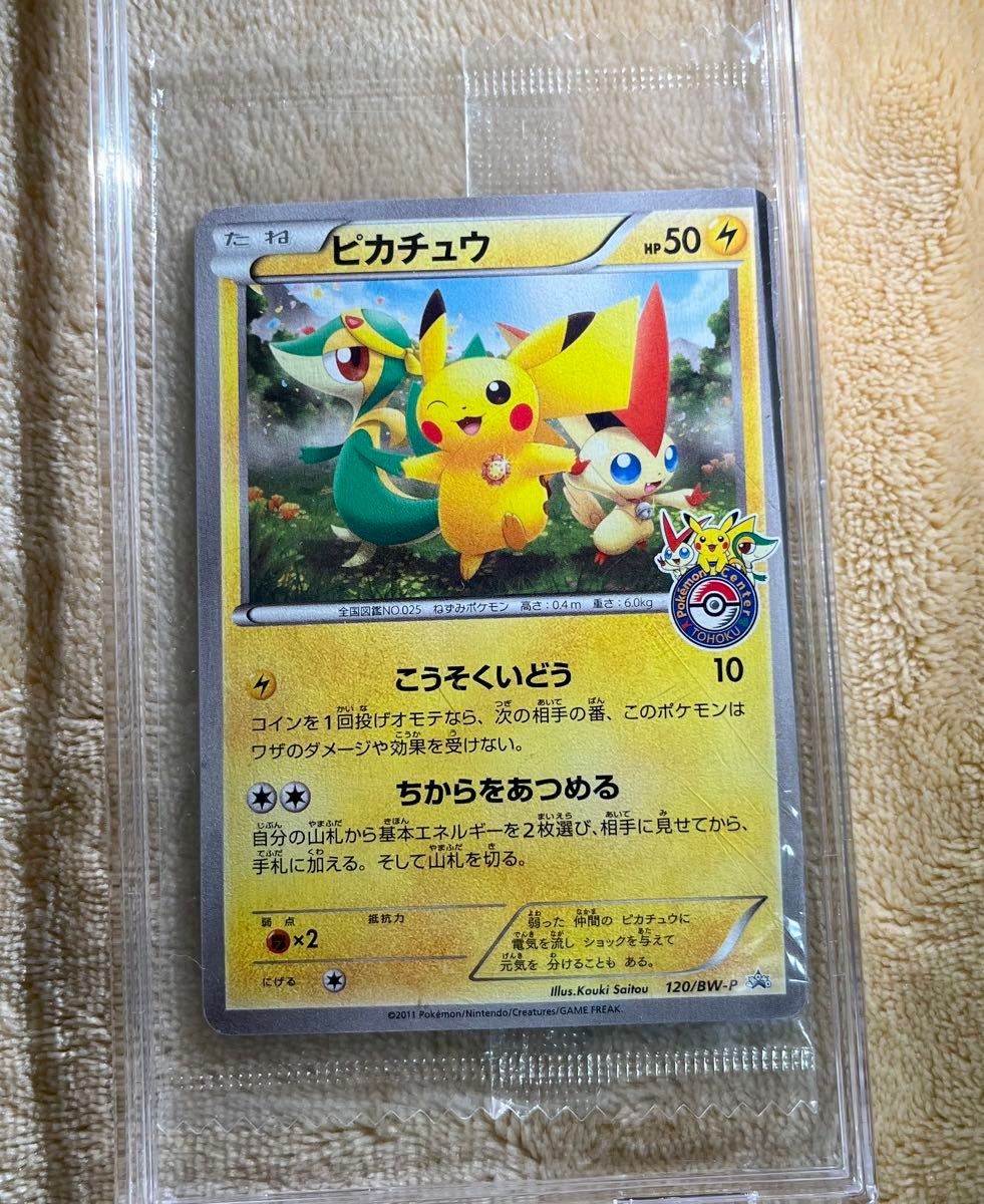 トウホクのピカチュウ ポケモンカード プロモ 088/SM-P モクロー