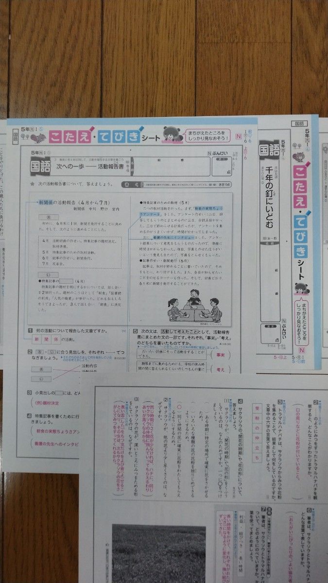 小学5年生 国語 カラーテスト こたえてびきシート 光村図書 ぶんけい