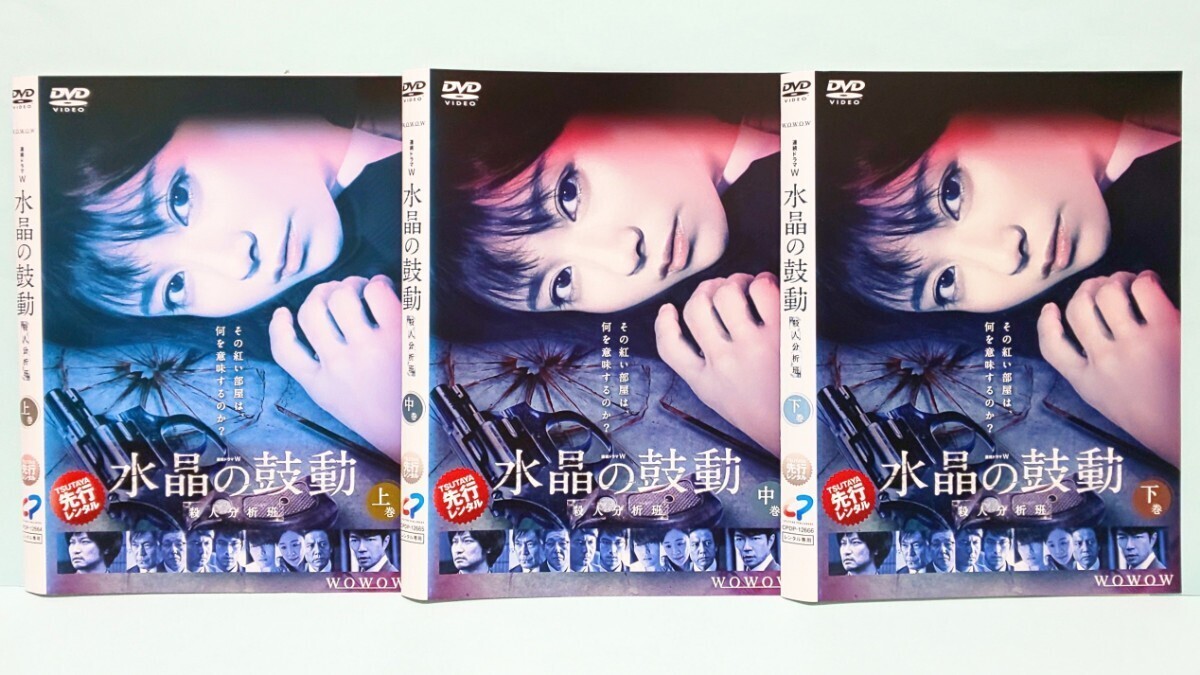 石の繭 水晶の鼓動 蝶の力学 悪の波動 殺人分析班 邪神の天秤 公安分析