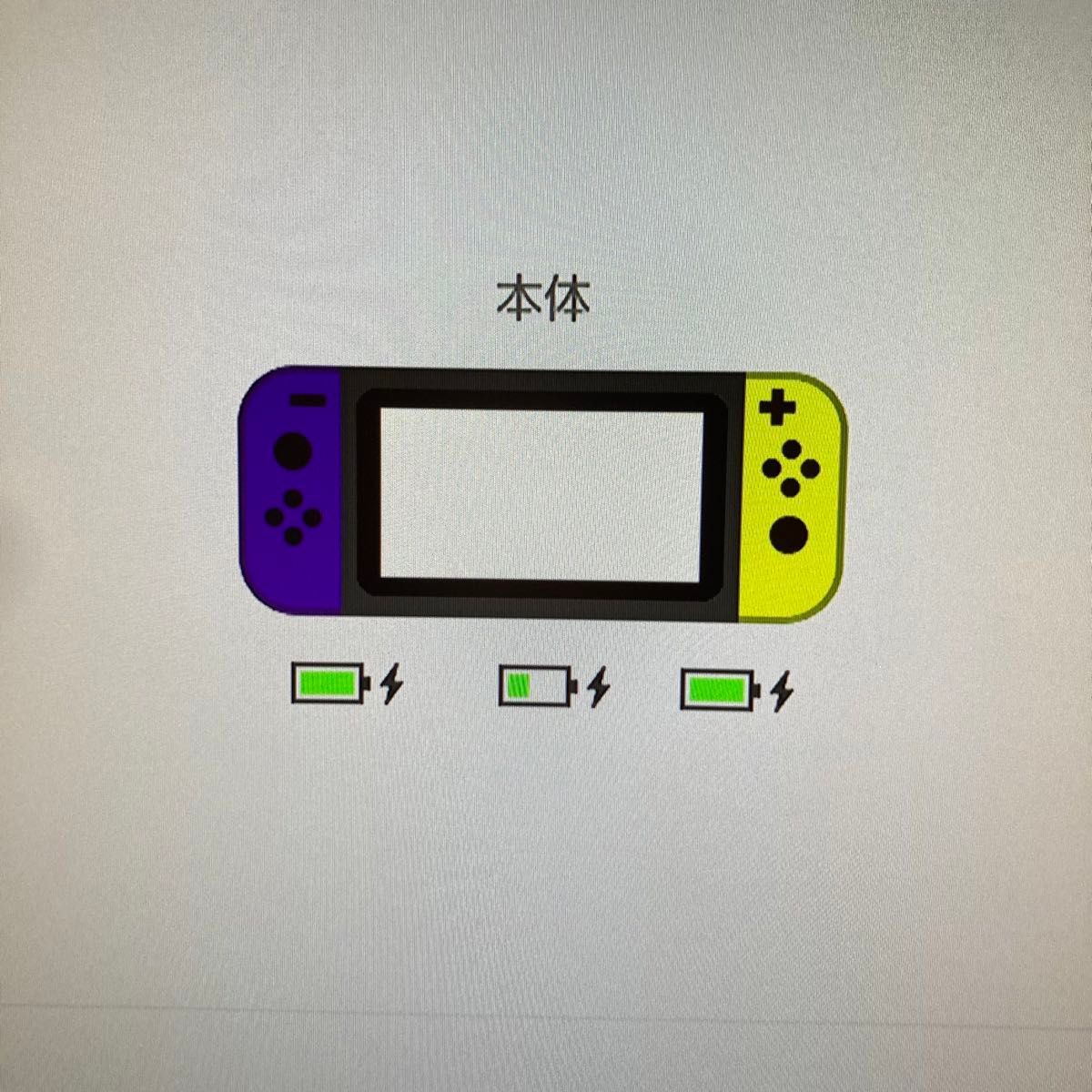 ニンテンドー スイッチ 2016年製 未対策機 あつ森バージョン化 旧型