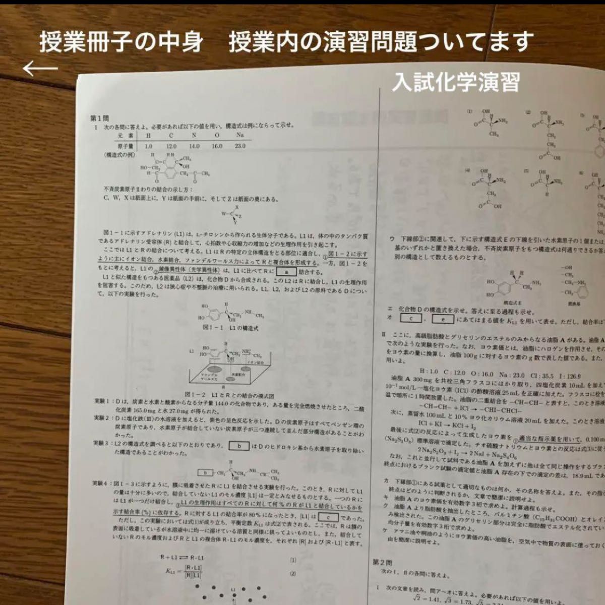 鉄緑会 高三 高3 教材 化学 飛松先生 水野先生 プリント テキスト 授業