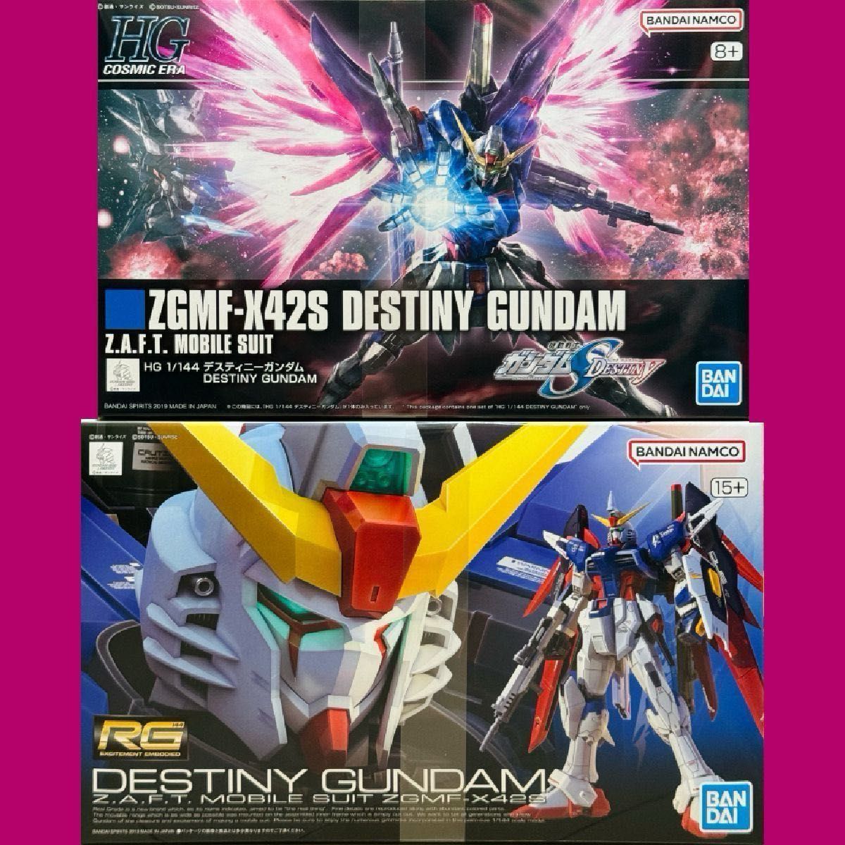 RG HG デスティニーガンダム ＋ RGデスティニーインパルス セット 未