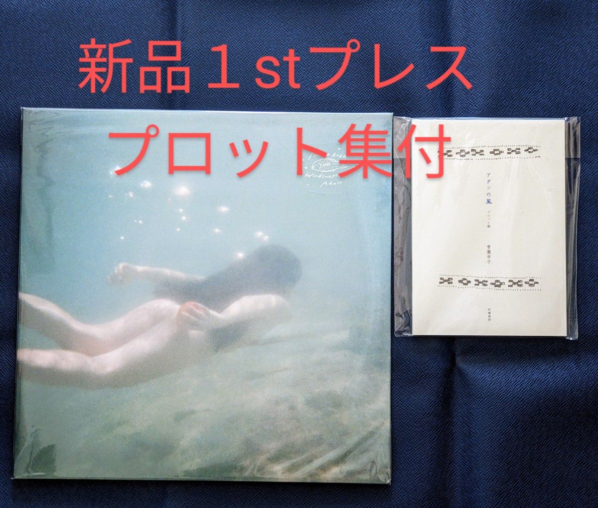 青葉市子 アダンの風 (国内盤1stプレス2枚組アナログレコード)＋