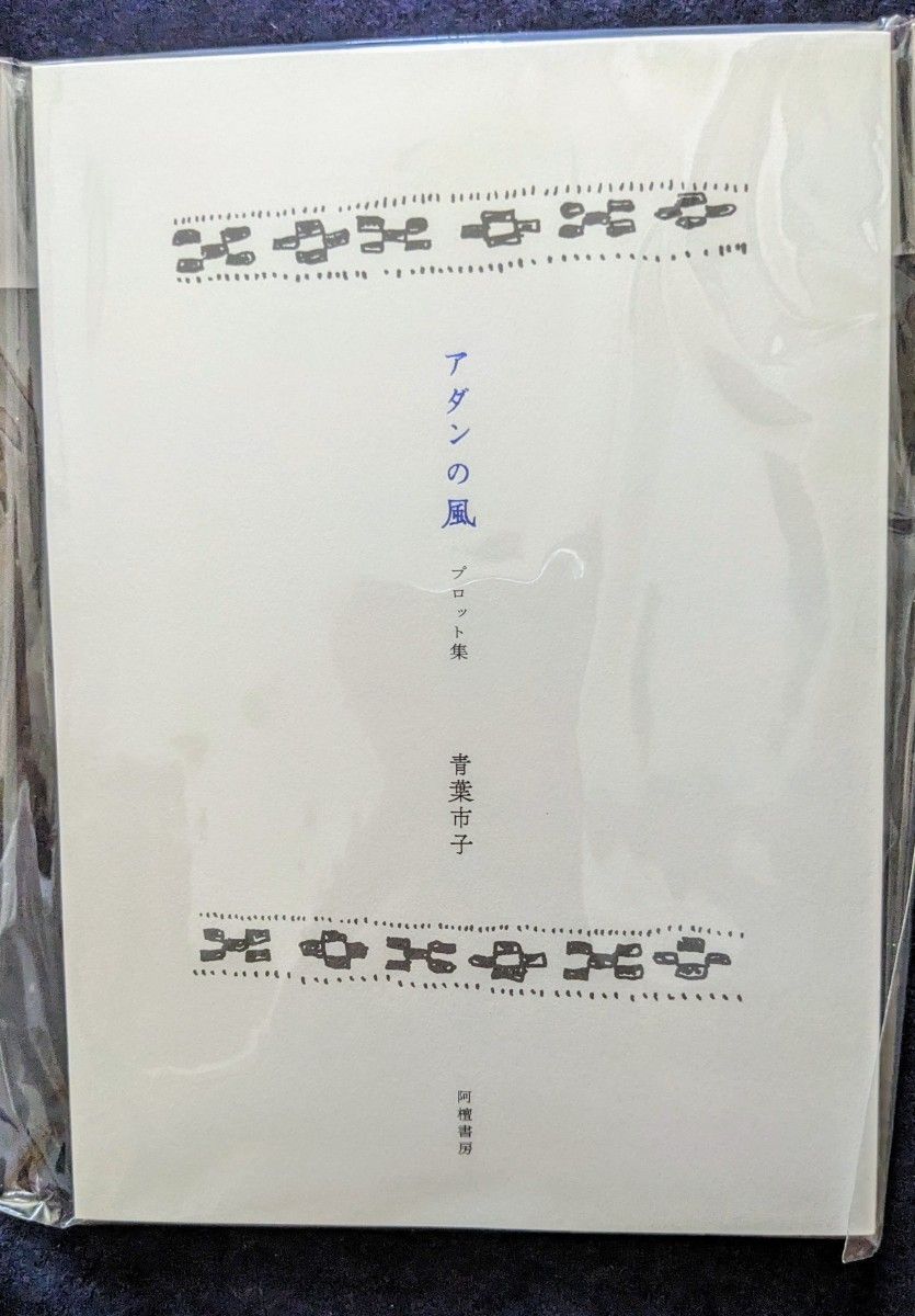 青葉市子 アダンの風 (国内盤1stプレス2枚組アナログレコード)＋
