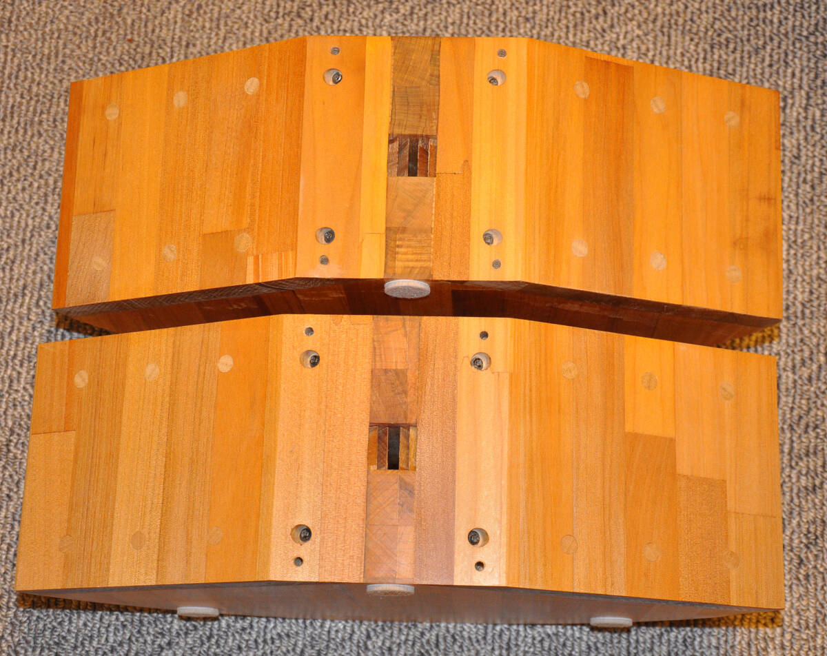 Bibian 比比昂- ウッドホーン木製ホーンペア1インチドライバー用