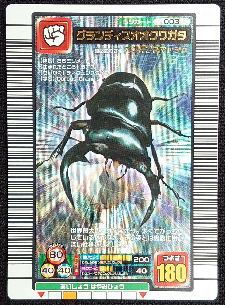Yahoo!オークション - 【甲虫王者ムシキング】グランディスオオクワガ
