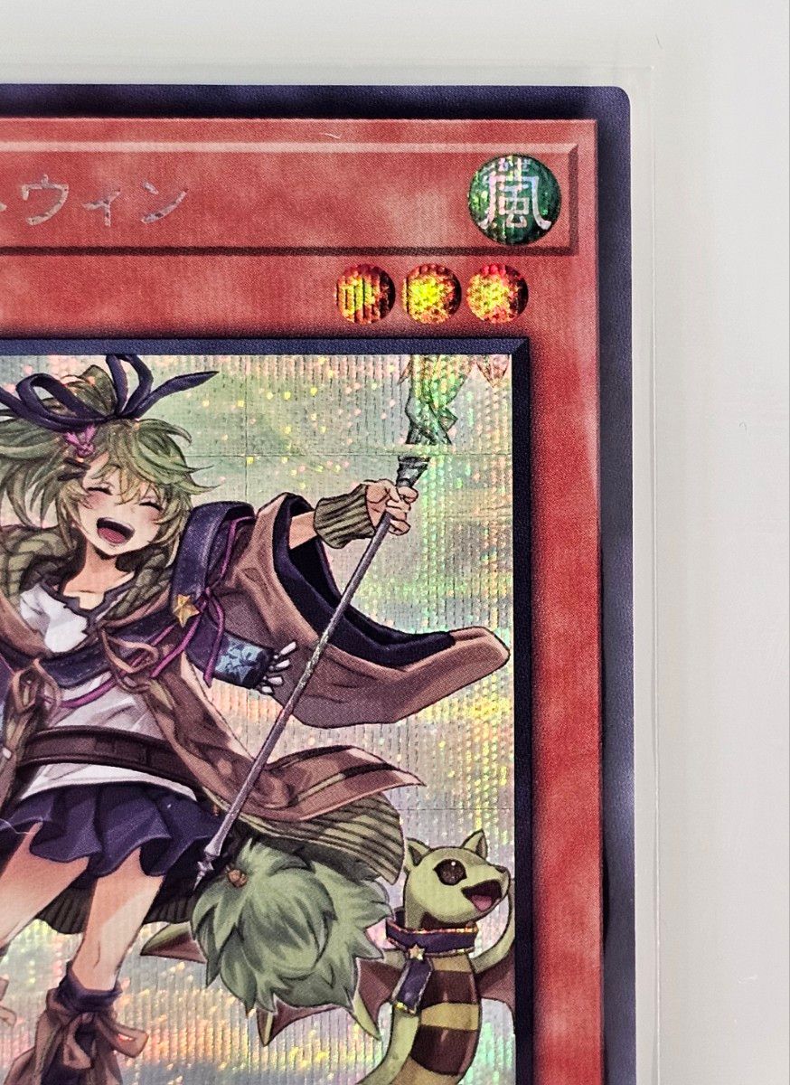 風霊使いウィン シークレット スターチップ 絵違い イラスト違い