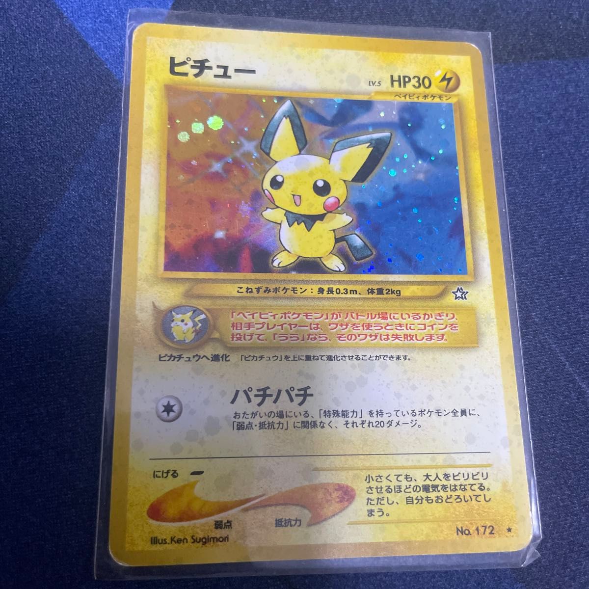 ピチュー エラー版 修正前 lv4 lv5 旧裏面 掘り出し物 2枚セット